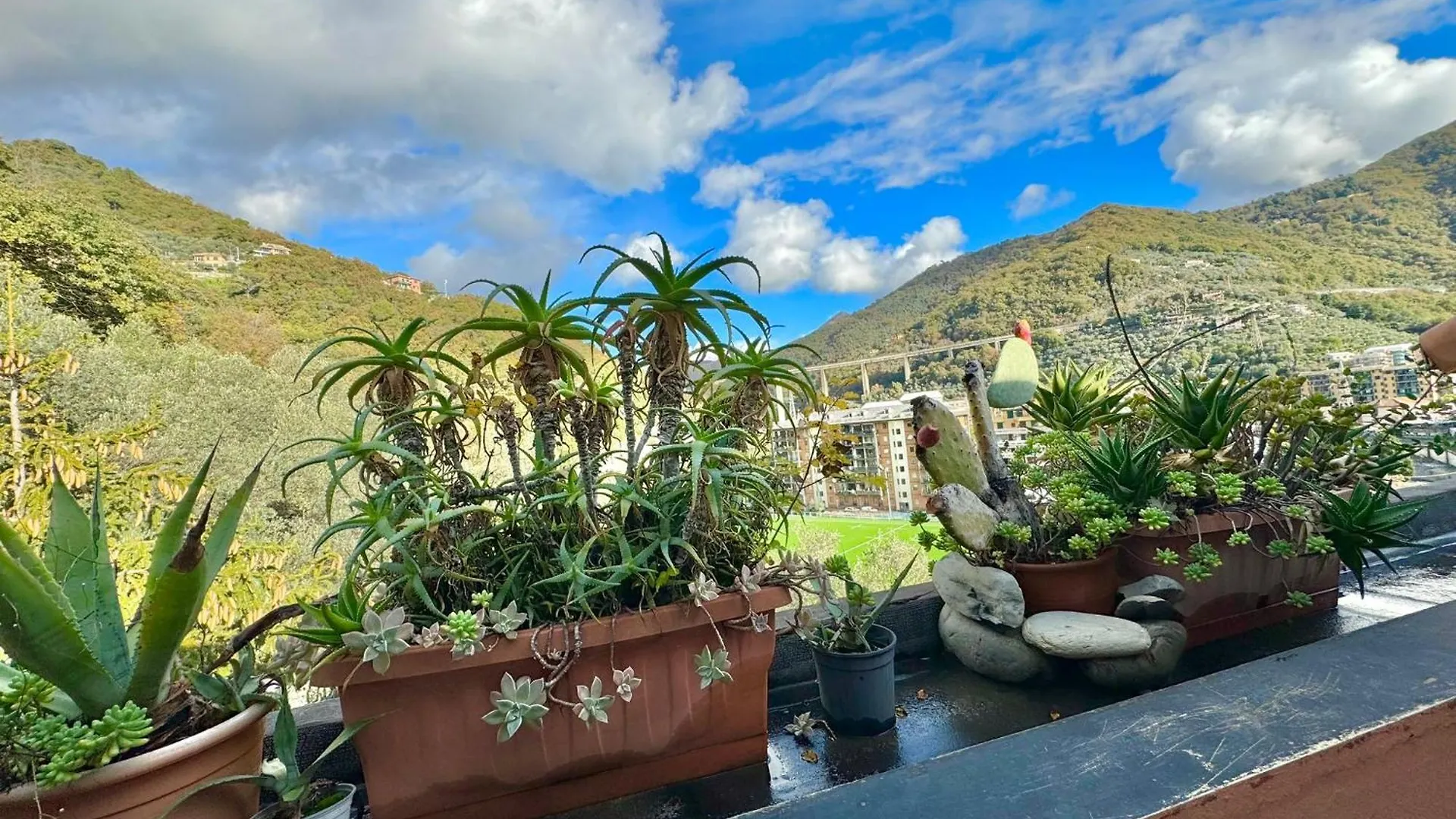 Recco Riviera Ligure In Relax Apartment